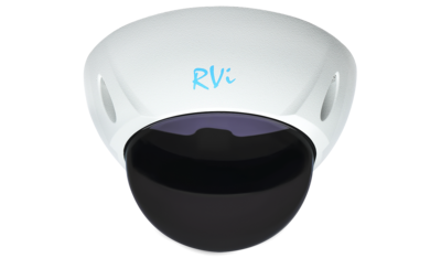 RVi-1DS2w Тонированный купол с белой рамкой