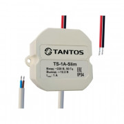 TS-1A-Slim Tantos Источник стабилизированного питания 12В, 1А