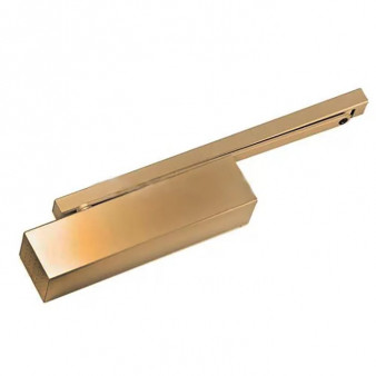 Dorma TS-93B BC-DC EN2-5 (полированная латунь) Dorma Дверной доводчик до 160кг