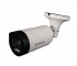 TSi-Pn655VZ 5-50 Tantos Уличная цилиндрическая IP камера, 5-50мм, 6Мп, ИК, PoE, microSD, микрофон
