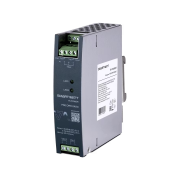 PSE DRR 2420 SMARTWATT R-POWER Модуль резервирования 24В, 20А, 480Вт