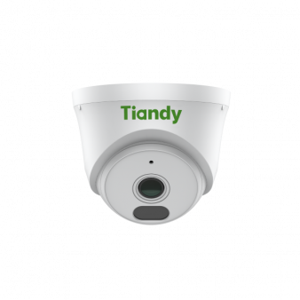 TC-C320N Spec:I3/E/Y/2.8mm/V2.0 TIANDY Купольная IP камера, 2.8мм, 2Мп, ИК, PoE, микрофон