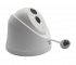 ST-SK2506 TOWN SPACE TECHNOLOGY Купольная IP камера, 2.8мм, 2Мп, ИК, PoE, микрофон