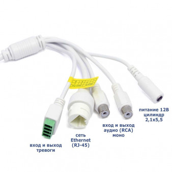 Копия AC-IS529P (2.7-13.5 мм) (7010901) Amatek Уличная цилиндрическая IP камера, 5Мп, 2.7-13.5 мм, ИК