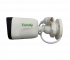 TC-C321N Spec:I3/E/Y/2.8mm/V2.0 TIANDY Цилиндрическая IP камера, 2.8мм, 2Мп, ИК, PoE, микрофон