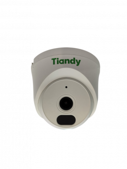 TC-C320N Spec:I3/E/Y/2.8mm/V2.0 TIANDY Купольная IP камера, 2.8мм, 2Мп, ИК, PoE, микрофон