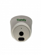 TC-C320N Spec:I3/E/Y/2.8mm/V2.0 TIANDY Купольная IP камера, 2.8мм, 2Мп, ИК, PoE, микрофон