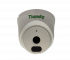 TC-C320N Spec:I3/E/Y/2.8mm/V2.0 TIANDY Купольная IP камера, 2.8мм, 2Мп, ИК, PoE, микрофон